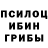 Галлюциногенные грибы прущие грибы Cristian Stinca