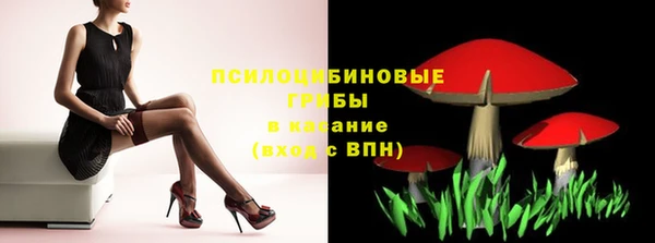 соль ск Алексин