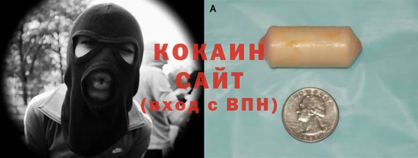 соль ск Алексин