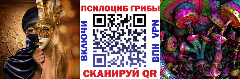Псилоцибиновые грибы Psilocybe  дарнет шоп  Бикин 